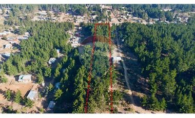 Excelente Parcela de 1 Hectárea en Laguna Verde