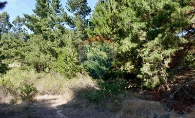 Excelente Parcela de 1 Hectárea en Laguna Verde