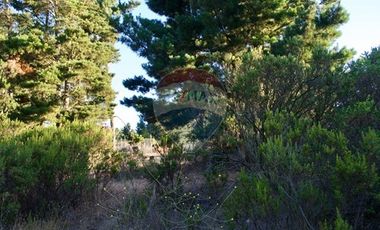 Excelente Parcela de 1 Hectárea en Laguna Verde