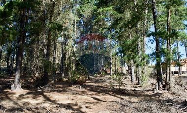 Excelente Parcela de 1 Hectárea en Laguna Verde