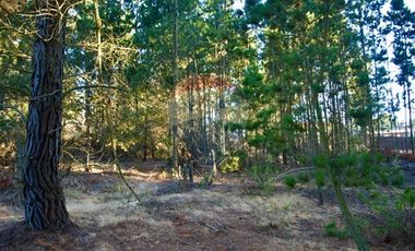 Excelente Parcela de 1 Hectárea en Laguna Verde