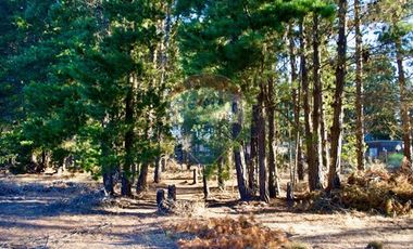 Excelente Parcela de 1 Hectárea en Laguna Verde
