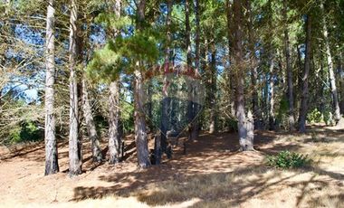 Excelente Parcela de 1 Hectárea en Laguna Verde