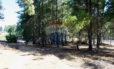 Excelente Parcela de 1 Hectárea en Laguna Verde