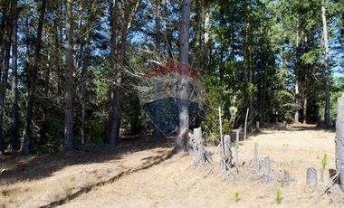 Excelente Parcela de 1 Hectárea en Laguna Verde