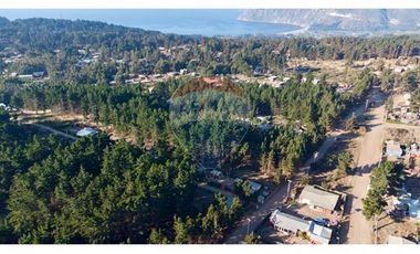 Excelente Parcela de 1 Hectárea en Laguna Verde
