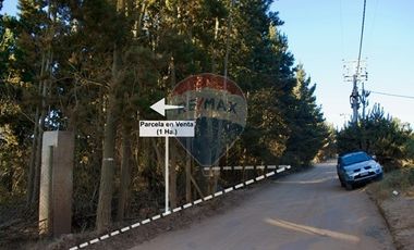 Excelente Parcela de 1 Hectárea en Laguna Verde