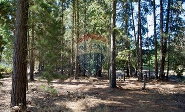 Excelente Parcela de 1 Hectárea en Laguna Verde