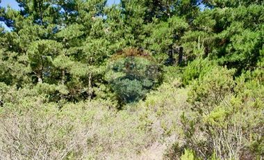 Excelente Parcela de 1 Hectárea en Laguna Verde
