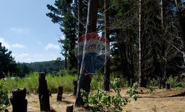 Excelente Parcela de 1 Hectárea en Laguna Verde