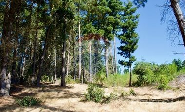 Excelente Parcela de 1 Hectárea en Laguna Verde