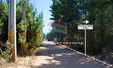 Excelente Parcela de 1 Hectárea en Laguna Verde