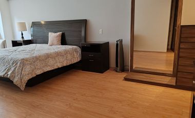 Departamento Amueblado polanco