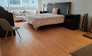 Departamento Amueblado polanco