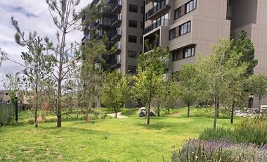 Departamento De Lujo/ LA CEIBA