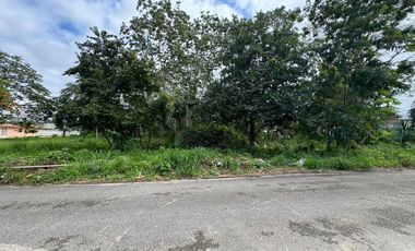 Cabeza de manzana en Venta  en Felipe Carrillo Puerto, Quintana Roo