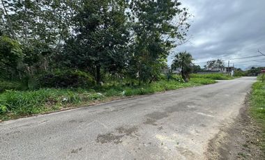 Cabeza de manzana en Venta  en Felipe Carrillo Puerto, Quintana Roo