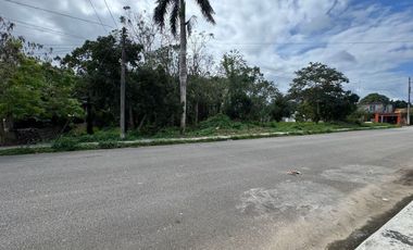 Cabeza de manzana en Venta  en Felipe Carrillo Puerto, Quintana Roo