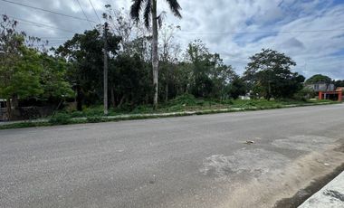 Cabeza de manzana en Venta  en Felipe Carrillo Puerto, Quintana Roo