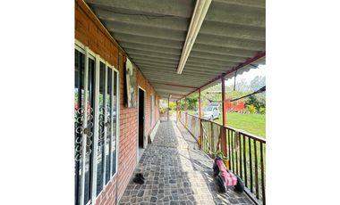 SE VENDE FINCA EN PORTUGAL DE PIEDRAS VALLE DEL CAUCA