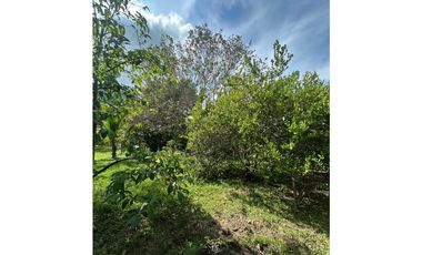 SE VENDE FINCA EN PORTUGAL DE PIEDRAS VALLE DEL CAUCA