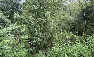 Parcela en Venta en Sector Conquil