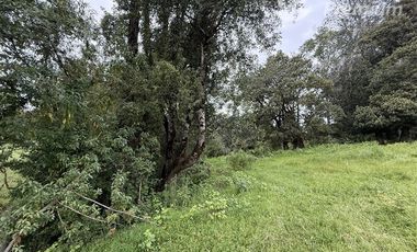 Parcela en Venta en Sector Conquil