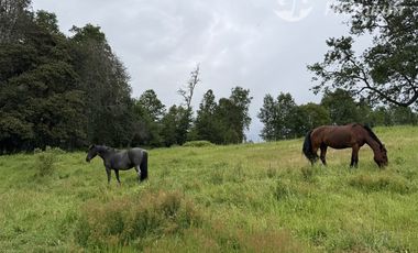 Parcela en Venta en Sector Conquil