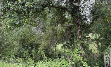 Parcela en Venta en Sector Conquil