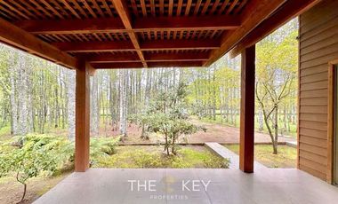 Parcela en Arriendo en Camino Villarrica Freire Km 7