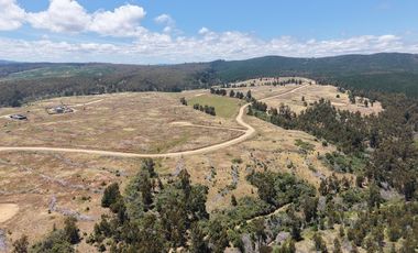 Vive naturaleza y mar en exclusivo proyecto