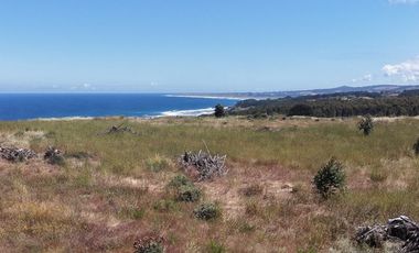 Vive naturaleza y mar en exclusivo proyecto