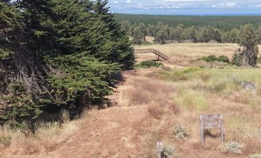 Vive naturaleza y mar en exclusivo proyecto