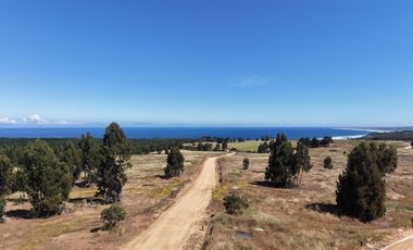 Vive naturaleza y mar en exclusivo proyecto