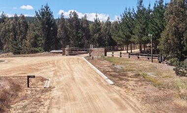 Vive naturaleza y mar en exclusivo proyecto