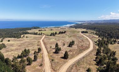 Vive naturaleza y mar en exclusivo proyecto