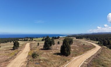 Vive naturaleza y mar en exclusivo proyecto