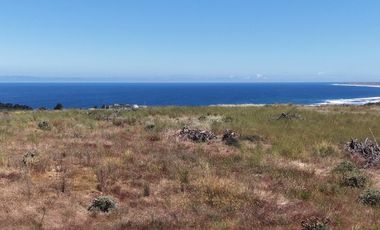 Vive naturaleza y mar en exclusivo proyecto