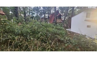 Bonito terreno en zona de bosque de mazamitla jalisco