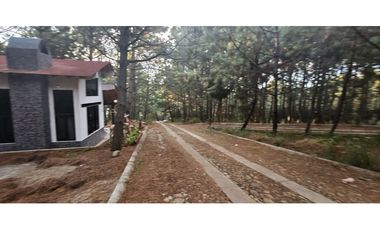 Bonito terreno en zona de bosque de mazamitla jalisco