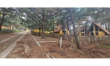 Bonito terreno en zona de bosque de mazamitla jalisco