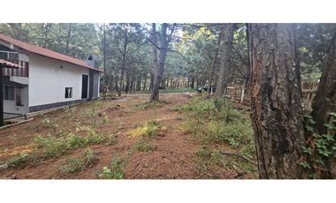 Bonito terreno en zona de bosque de mazamitla jalisco
