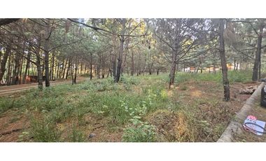 Bonito terreno en zona de bosque de mazamitla jalisco