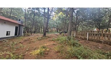 Bonito terreno en zona de bosque de mazamitla jalisco