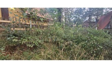 Bonito terreno en zona de bosque de mazamitla jalisco