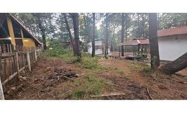 Bonito terreno en zona de bosque de mazamitla jalisco