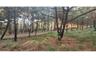 Bonito terreno en zona de bosque de mazamitla jalisco