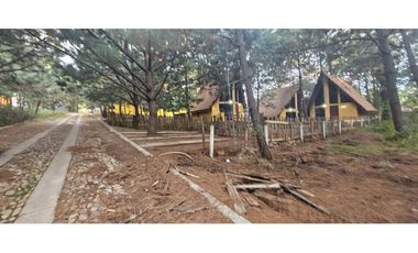 Bonito terreno en zona de bosque de mazamitla jalisco