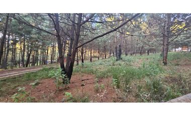 Bonito terreno en zona de bosque de mazamitla jalisco
