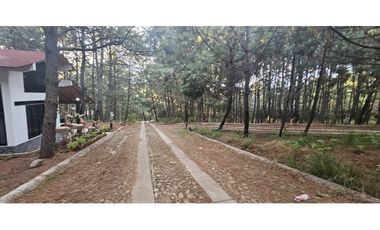 Bonito terreno en zona de bosque de mazamitla jalisco